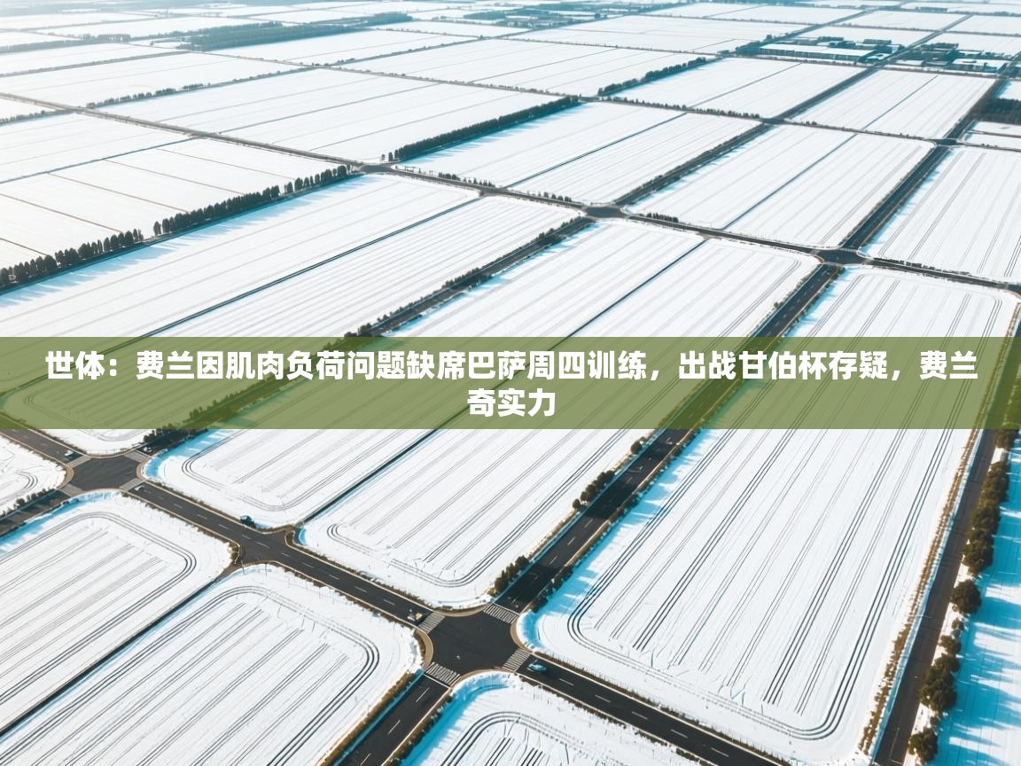 世体：费兰因肌肉负荷问题缺席巴萨周四训练，出战甘伯杯存疑，费兰奇实力  第1张