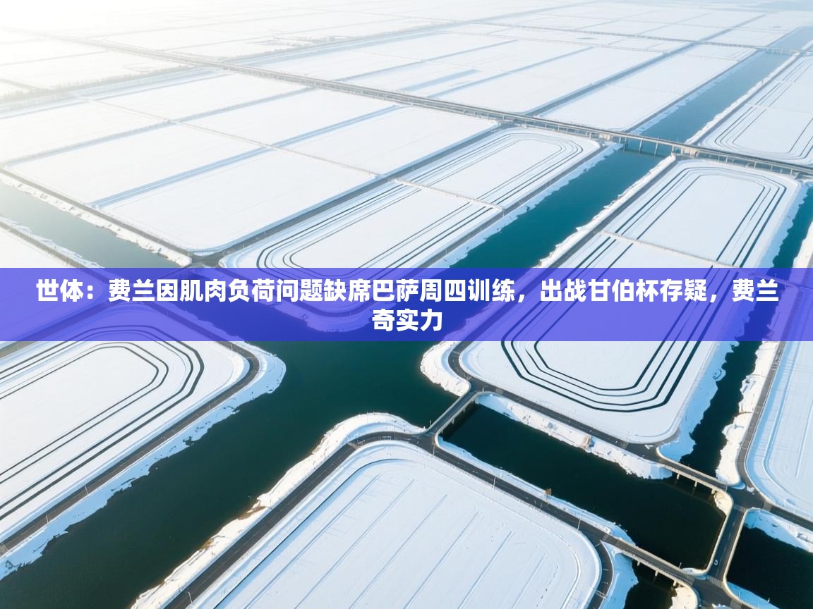 世体：费兰因肌肉负荷问题缺席巴萨周四训练，出战甘伯杯存疑，费兰奇实力  第2张