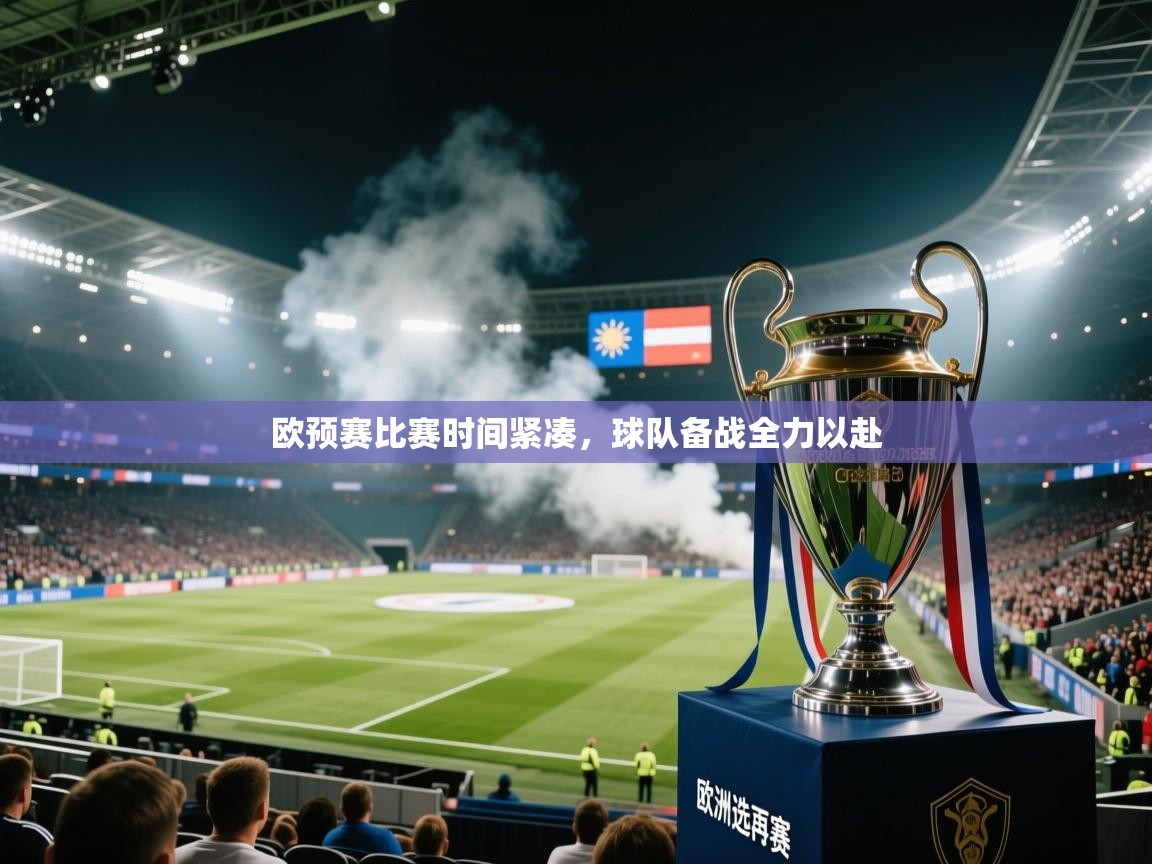 欧预赛比赛时间紧凑，球队备战全力以赴  第2张